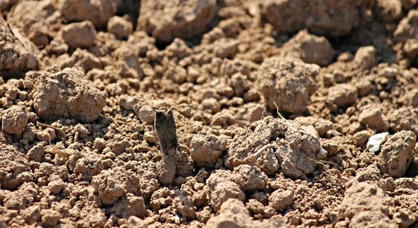 Röntgenfluoreszenzanalyse, RFA von Böden | © CRB Analyse Service GmbH