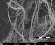 Chrysotil Asbest in Fliesenkleber - hohe HD-Auflösung: 3872 x 2904 px / Dateigröße ca 10,7 MB | © CRB Analyse Service GmbH