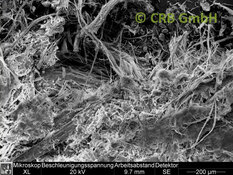 REM-Bild Chrysotil-Asbest in Nachtspeicherofen | © CRB Analyse Service GmbH