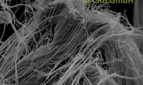 Amiante de chrysotile dans sokalithe, image MEB | © CRB Analyse Service GmbH
