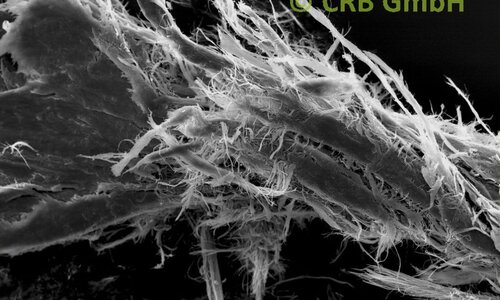 SEM-picture of chrysotile asbestos in asbestos bearing sealing masses | © CRB Analyse Service GmbH
